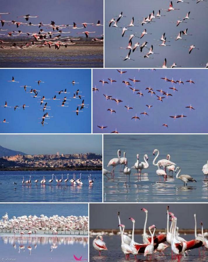 Al Corso Bed and Breakfast Cagliari Buitenkant foto